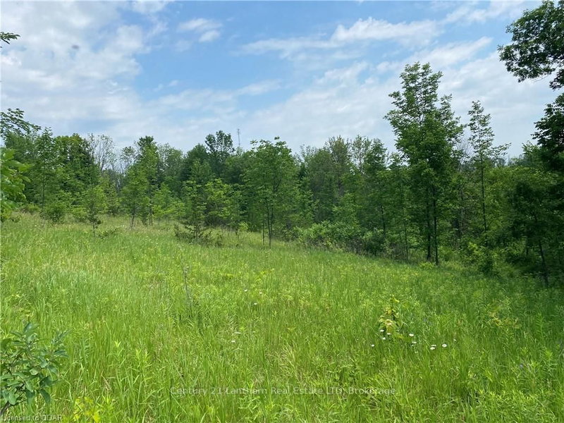 0 Hwy 62, Madoc, K0K 2K0 | Image 3