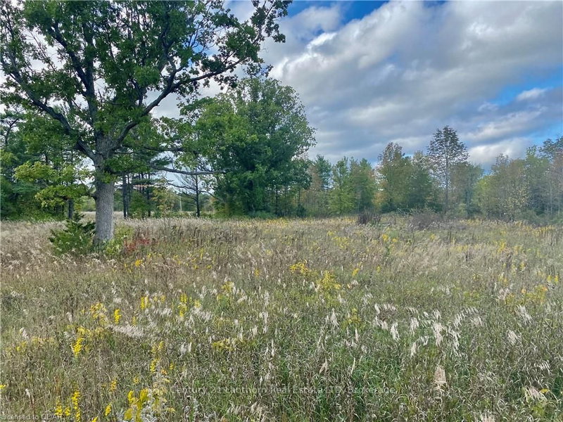 641 Lahey Rd, Madoc, K0K 2K0 | Image 2