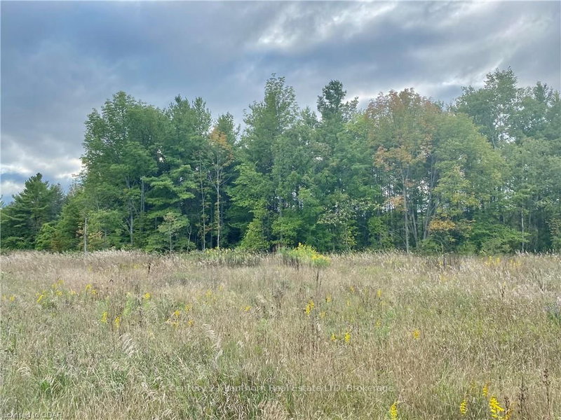 641 Lahey Rd, Madoc, K0K 2K0 | Image 3