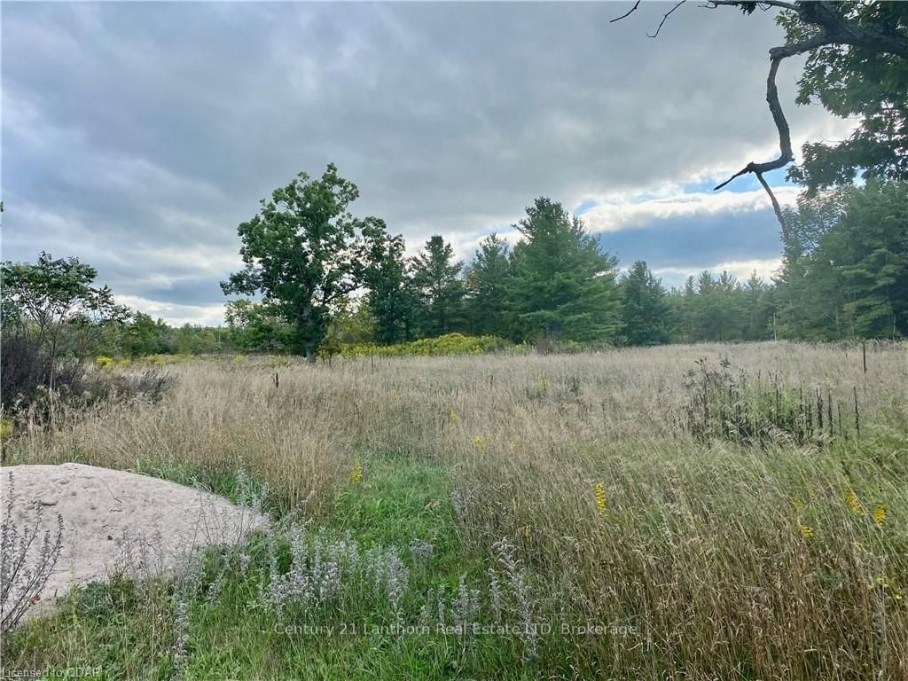 Listing Image 37