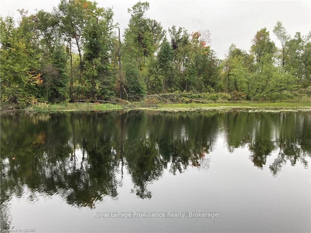Listing Image 28