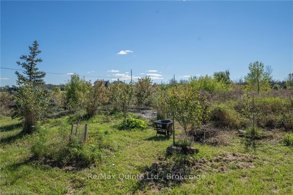 Listing Image 35