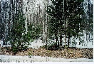 0 Quarry Rd, Bancroft, K0L 1C0 | Image 3