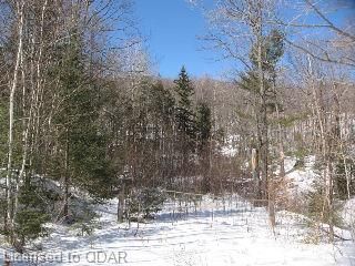 0 Highway 28 E, Douro-Dummer, K0L 1C0 | Image 2