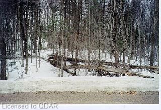 0 Quarry Rd, Bancroft, K0L 1C0 | Image 3