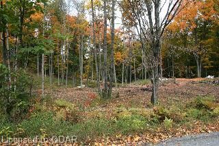 0 Quarry Rd, Bancroft, K0L 1C0 | Image 2