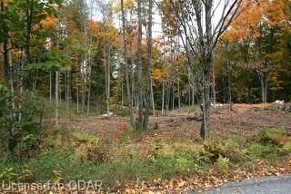 0 Quarry Rd, Bancroft, K0L 1C0 | Image 3