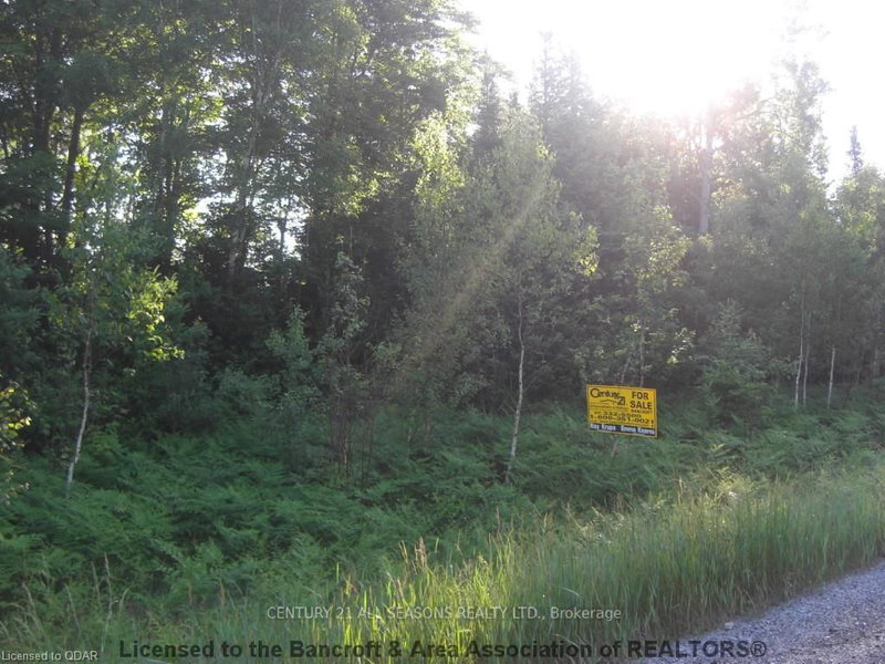 0 Highway 118, Highlands East, K0L 1C0 | Image 3