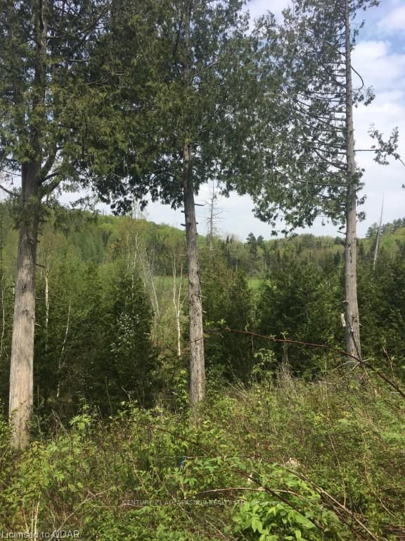 0 Highway 118, Highlands East, K0L 1M0 | Image 3