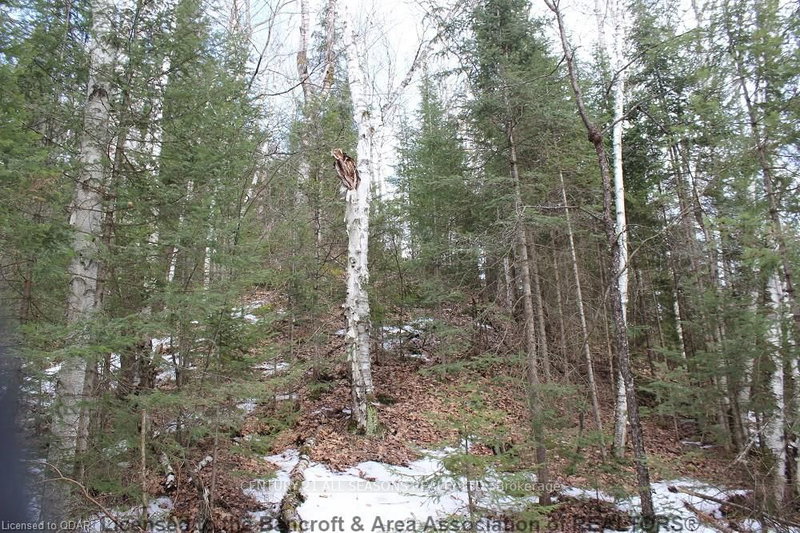 0 Lower Faraday Rd, Bancroft, K0L 1C0 | Image 3