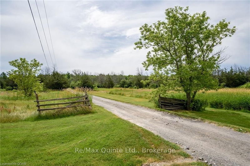 595 Elmbrook Rd  Prince Edward County, K0K 2T0 | Image 29