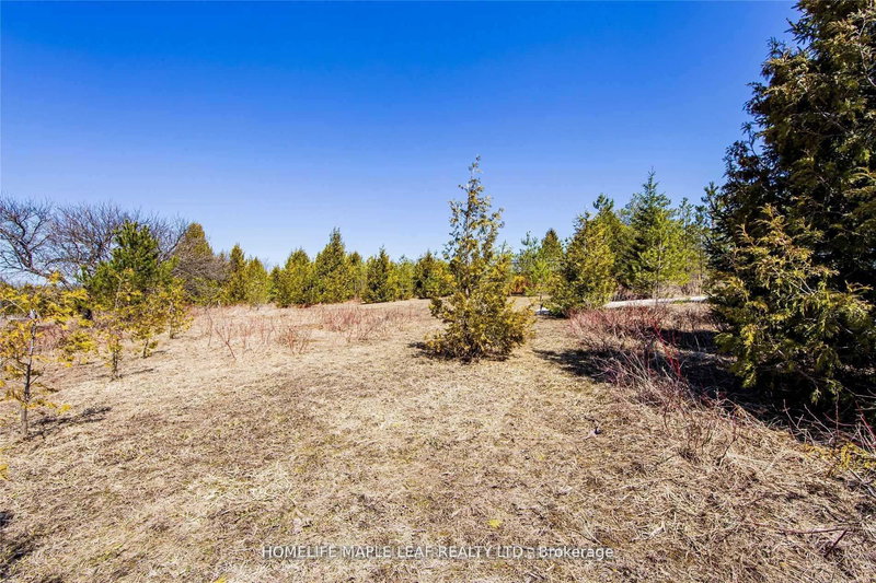 405251 Grey Rd 4 Rd N, Grey Highlands, N0C 1K0 | Image 3