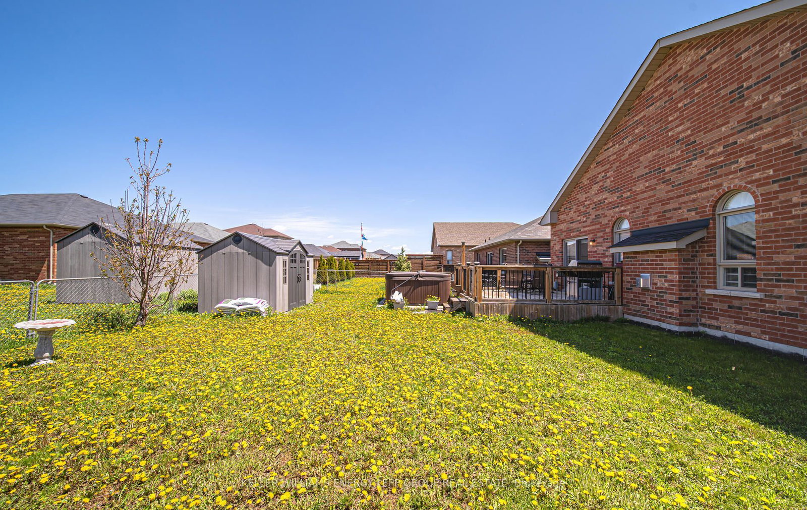 Listing Image 25