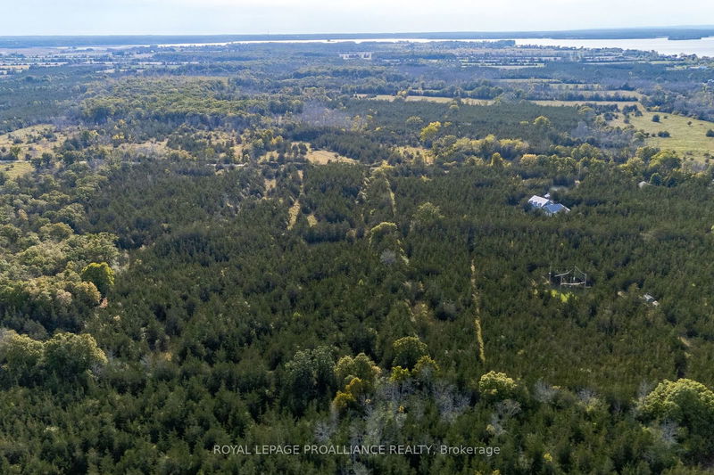 Lot 45 Sprague Rd  Prince Edward County, K0K 1W0 | Image 7