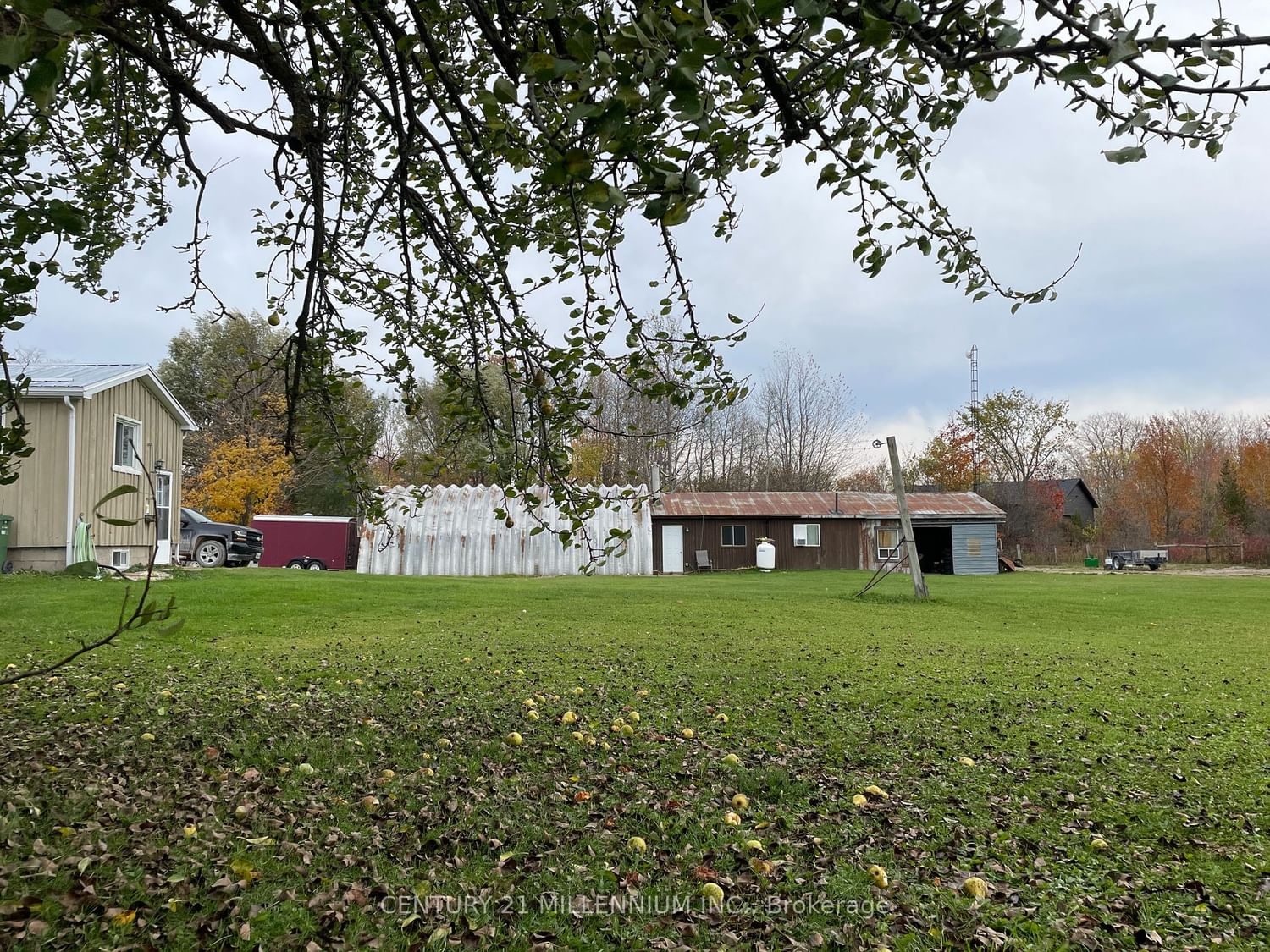 Listing Image 6