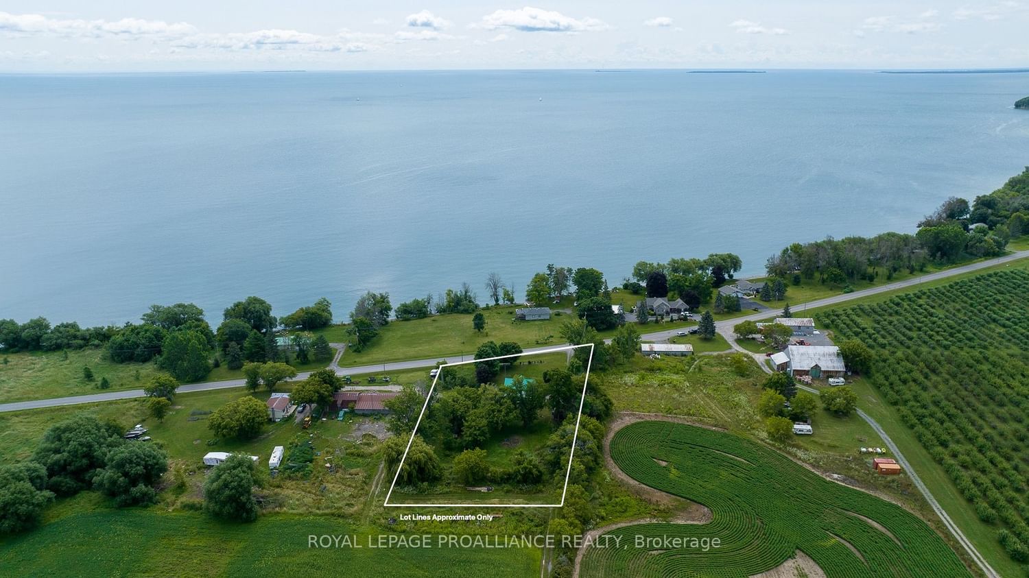 Listing Image 4