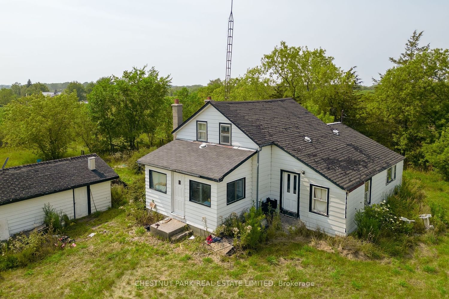 Listing Image 7