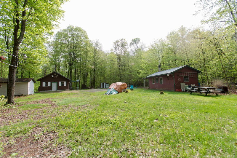 1040 Bill McLaren Tr, Dysart et al, K0L 1X0 | Image 3