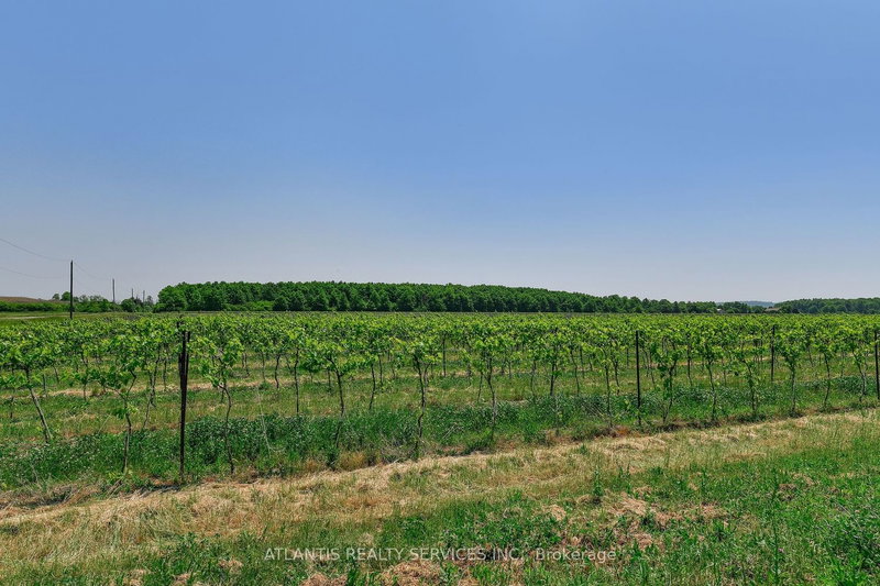 497 Line 5 Rd S, Niagara-on-the-Lake, L0S 1T0 | Image 2