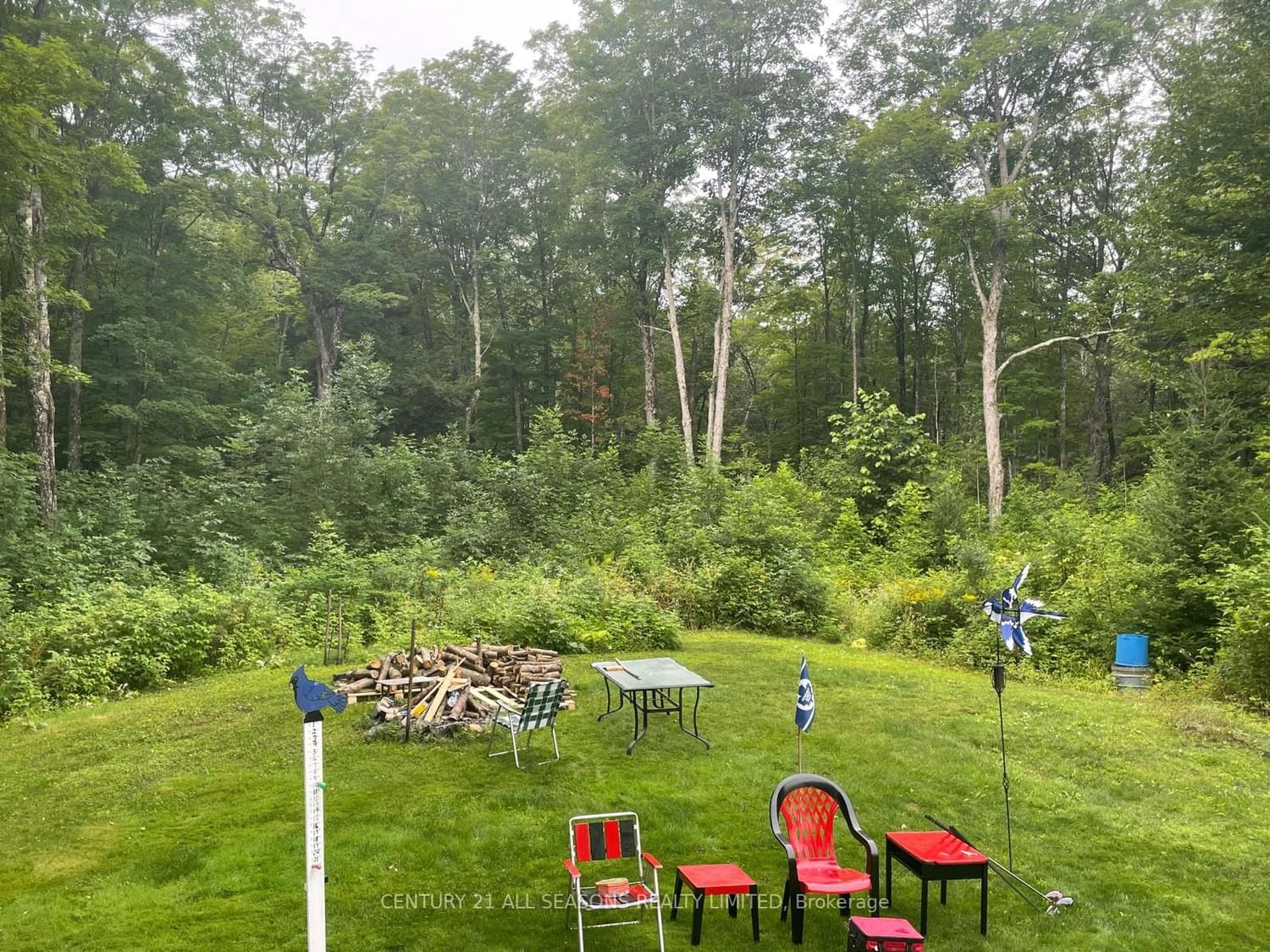 Listing Image 7