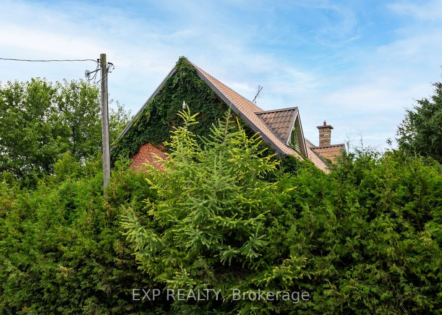 Listing Image 32