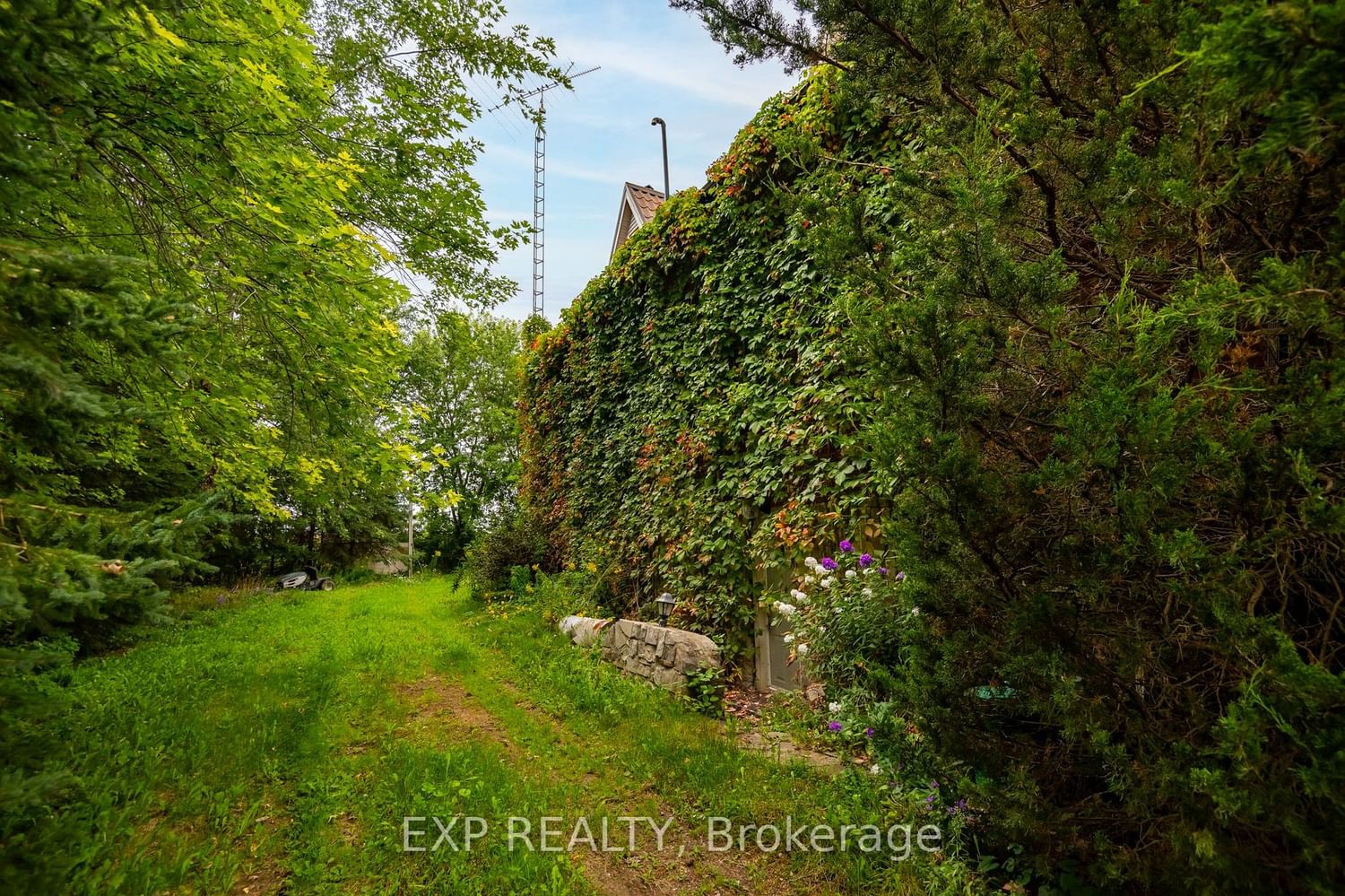 Listing Image 33