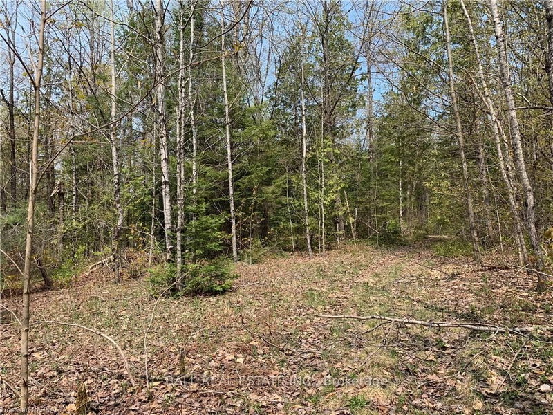 0 Johnson Rd, North Kawartha, K0L 1A0 | Image 2