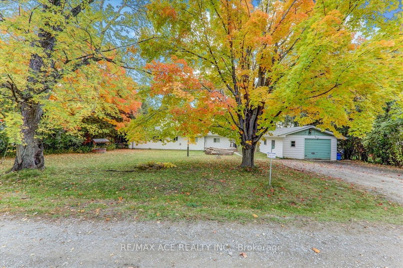 28 Osprey Rd, Kawartha Lakes, K9V 4R5 | Image 3