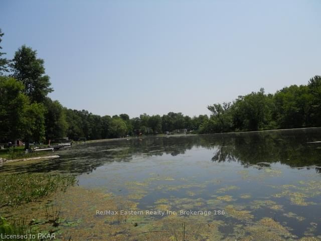 Listing Image 24