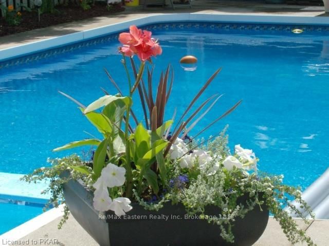 2285 Lynhaven Rd, Peterborough, K9K 1V5 | Image 3