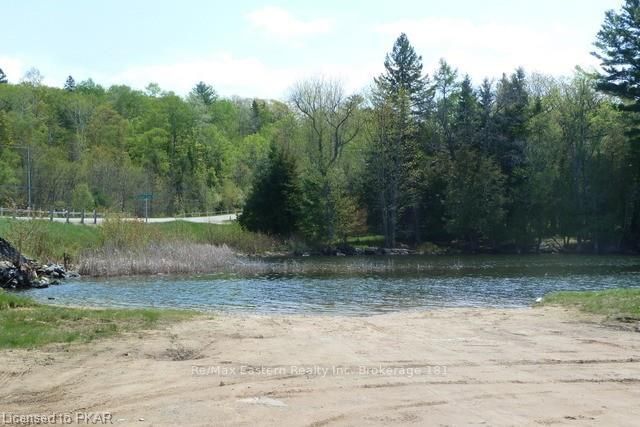 Listing Image 29