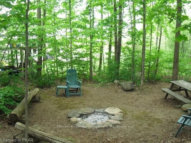 Listing Image 17