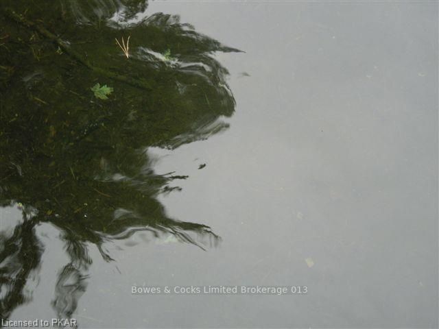 Listing Image 24