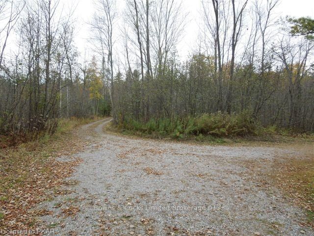 Listing Image 29