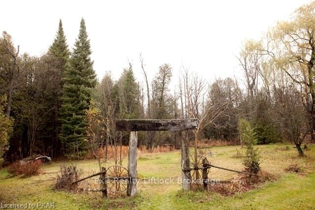 Listing Image 16