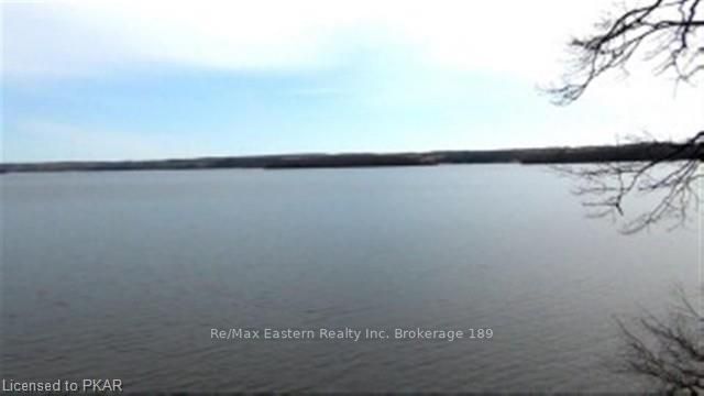 110 Cow Island, Otonabee-South Monaghan, K0L 1B0 | Image 3