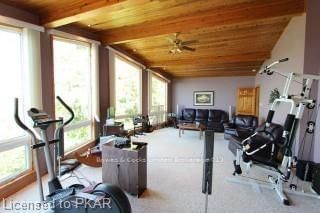 Listing Image 13