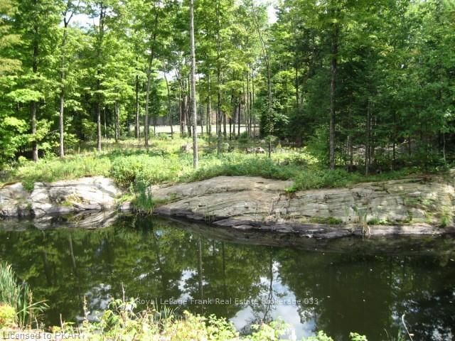 1603 Balmer Rd, North Kawartha, K0L 1A0 | Image 2