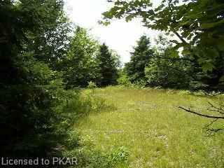 0 North Rusaw Rd, North Kawartha, K0L 1A0 | Image 2