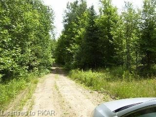 0 North Rusaw Rd, North Kawartha, K0L 1A0 | Image 3