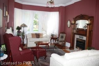 Listing Image 7