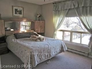 204 - 1110 Clonsilla Ave, Peterborough, K9J 5X5 | Image 2