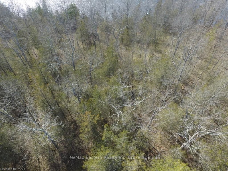 Lot 2 Hillside Dr, Trent Hills, K0L 1L0 | Image 3