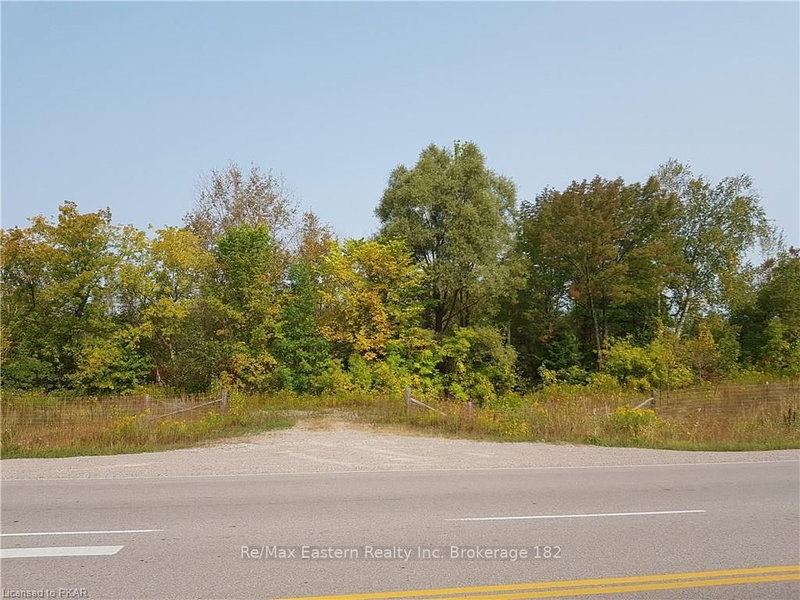 0 Highway 28, Douro-Dummer, K0L 2H0 | Image 2