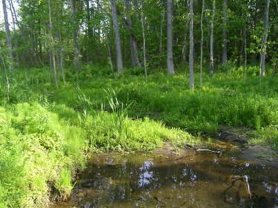 9622 Wellington 22 Rd, Erin, N0B1T0 | Image 3