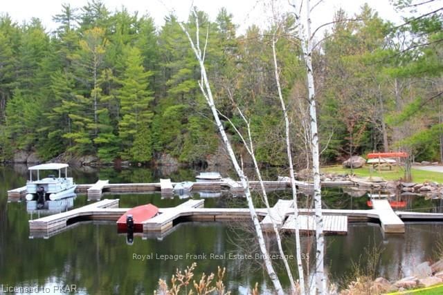 18 - 1579 Anstruther Lake Rd, North Kawartha, K0L 1A0 | Image 3