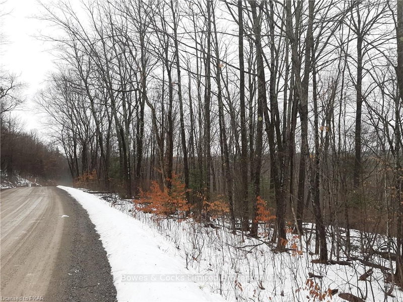 0 Clydesdale Rd, North Kawartha, K0L 1A0 | Image 2