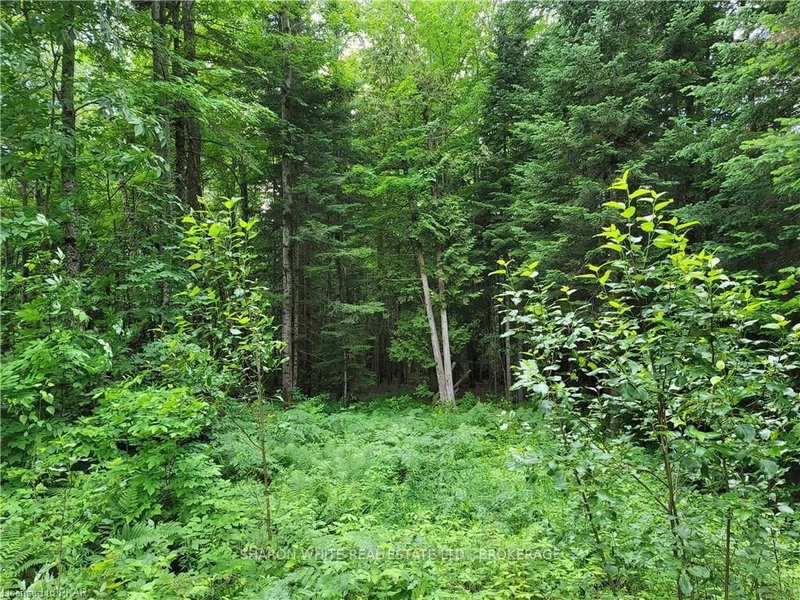 0 Quarry Rd, Bancroft, K0L 1C0 | Image 2