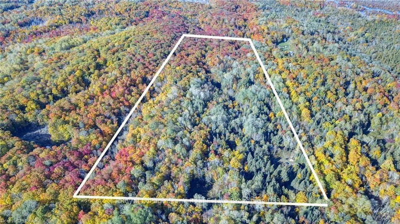 0 North Rusaw Rd, North Kawartha, K0L 1A0 | Image 2