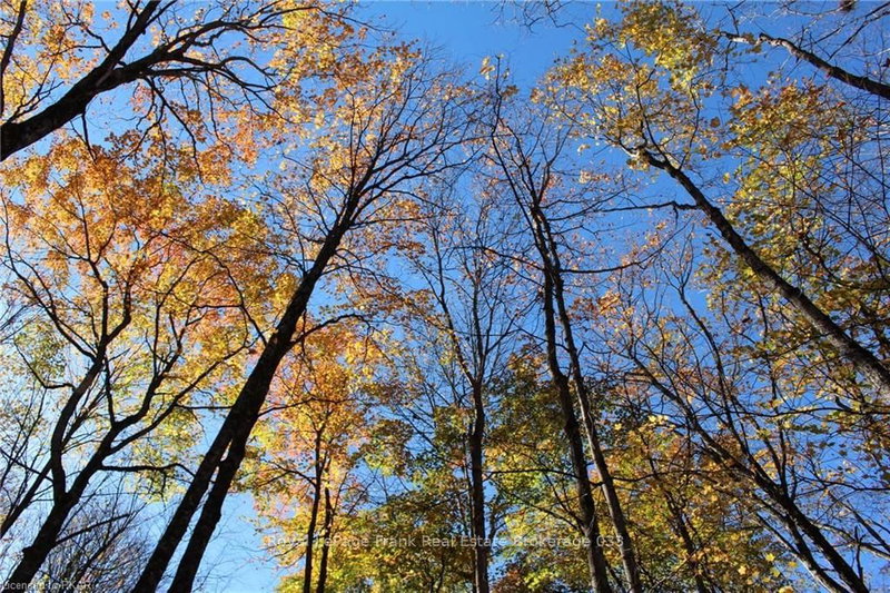 0 North Rusaw Rd, North Kawartha, K0L 1A0 | Image 3